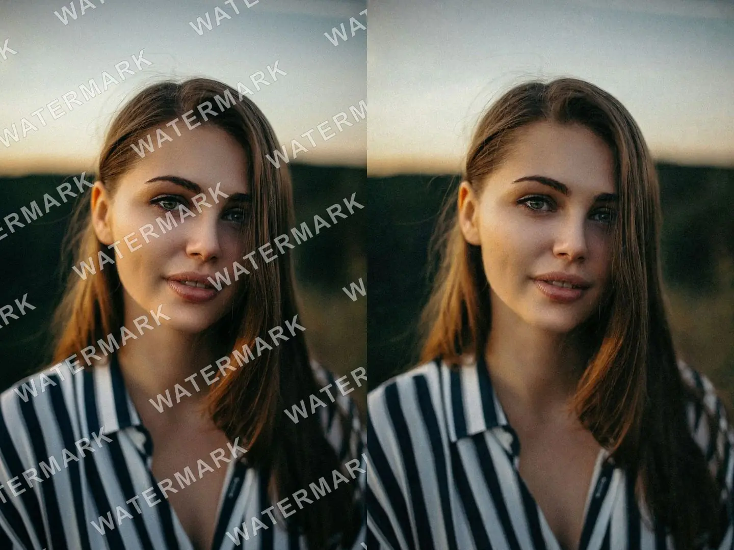 Before and after diagonal text watermarks covering a whole photo are removed